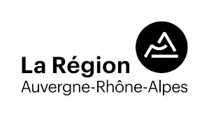Handicap et Politique Publiques : Cas d&rsquo;étude Région Auvergne Rhone Alpes